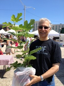 Me at the farmers' market with a fig tree I bought.