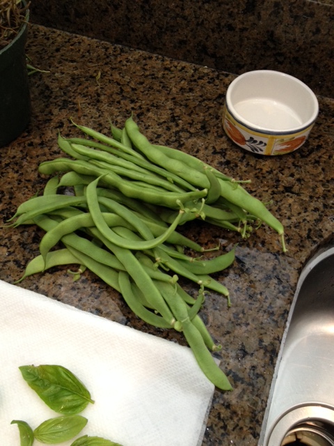 Fresh beans just picked from my garden. Part of my Italian heritage is always planting a vegetable garden.