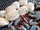Grilling clams and mussels, I can't wait.