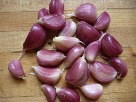 garlic